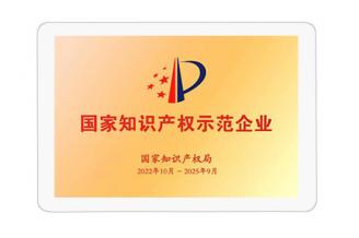 國家知識產權示范企業